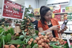 Thương mại điện tử phát triển nhanh chóng đã hỗ trợ tích cực cho ngành bán lẻ. (Ảnh: Đức Duy/Vietnam+)