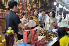 Lãnh đạo Sở Công Thương Hà Nội đi thăm các gian hàng tại hội chợ nông sản vùng miền tổ chức tại Thủ đô. (Ảnh: Đức Duy/Vietnam+)