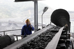 Dự kiến năm 2023, tổng than tiêu thụ cho các hộ điện vào khoảng 46,16 triệu tấn. (Ảnh: TTXVN)