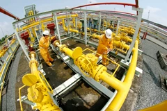 Sản xuất công nghiệp tháng 8 tiếp tục xu hướng tích cực hơn tháng trước. (Ảnh: Đức Duy/Vietnam+)