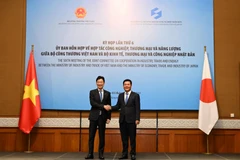Bộ trưởng Bộ Công Thương Việt Nam Nguyễn Hồng Diên và Bộ trưởng Bộ Kinh tế, Thương mại và Công nghiệp Nhật Bản Nishimura Yasutoshi đồng chủ trì Kỳ họp lần thứ 6, Ủy ban hỗn hợp Việt Nam-Nhật Bản. (Ảnh: Đức Duy/Vietnam+)