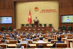 Quốc hội thảo luận phiên sáng 9/1. (Ảnh: TTXVN)