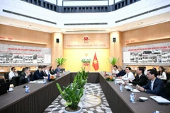 Thứ trưởng Nguyễn Sinh Nhật Tân làm việc với phái đoàn EU và Đại sứ quán Anh về JETP. (Ảnh: PV/Vietnam+)