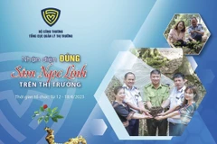 Tuần lễ “Nhận diện đúng sâm Ngọc Linh trên thị trường” diễn ra từ 12-18/4. (Ảnh: qltt)