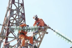 Nhân viên EVN kiểm tra vận hành lưới điện. (Ảnh: Đức Duy/Vietnam+)