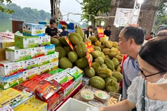 Các doanh nghiệp sẽ tung ra nhiều chương trình hấp dẫn trong Tháng Khuyến mại Hà Nội năm 2023. (Ảnh: Xuân Quảng/Vietnam+)