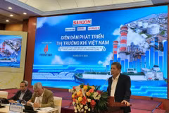 Diễn đàn phát triển thị trường Khí Việt Nam. (Ảnh: Đức Duy/Vietnam+)