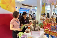 Thương mại điện tử giúp khắc phục khoảng cách về địa lý, tiếp cận lượng khách hàng lớn. (Ảnh: Đức Duy/Vietnam+) 