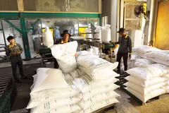 Trong 9 tháng vừa qua, Việt Nam đã xuất khẩu 6,6 triệu tấn gạo. (Ảnh: Đức Duy/Vietnam+)