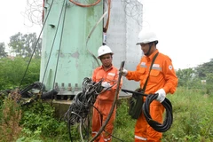 Theo EVNHANOI, các đối tượng liều lĩnh thực hiện hành vi trộm cắp nhiều lần tại một vị trí. (Ảnh: PV/Vietnam+)