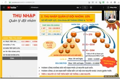 Các video giới thiệu, mời gọi người tham gia vào hệ thống theo phương thức đa cấp được chia sẻ trên kênh www.youtube.com. (Ảnh: Đức Duy/Vietnam+)