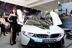 Việc “thả nổi” nhập khẩu xe không chính hãng sẽ làm khách hàng thiệt, Nhà nước thất thu thuế. (Ảnh: Doãn Đức/Vietnam+)