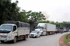 Ảnh chỉ có tính minh họa. (Ảnh: Quang Đán/TTXVN)