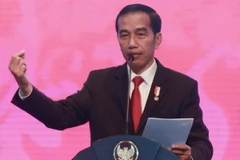 Tổng thống Indonesia Joko Widodo. (Nguồn: AFP/TTXVN)