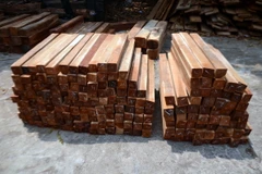 Ảnh chỉ có tính minh họa. (Ảnh: Anh Dũng/TTXVN)