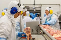 Một dây chuyền chế biến gia cầm. (Nguồn: AFP/TTXVN)