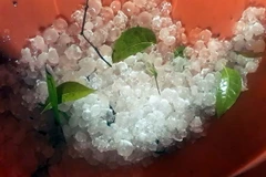 Những hạt mưa đá trong đêm 17/3 tại thành phố Bắc Kạn. (Ảnh: Đức Hiếu/TTXVN)