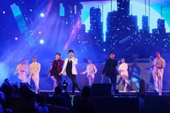 Chương trình nghệ thuật 'Chào Hạ Long 2018' có chủ đề Light Up The City (bừng sáng thành phố). (Ảnh: Thành Đạt/TTXVN)