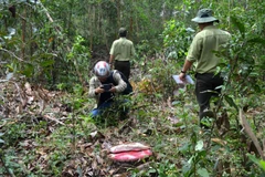 Ảnh chỉ có tính minh họa. (Ảnh: Thế Lập/TTXVN)