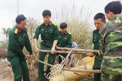 Lực lượng chức năng vận chuyển quả bom về vị trí hủy nổ an toàn. (Ảnh: TTXVN phát)
