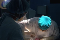 Ảnh chỉ có tính minh họa. (Nguồn: TTXVN)