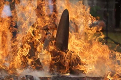 Thiêu hủy 33 kg sừng tê giác. (Ảnh: Vườn thú Dvur Kralove cung cấp)