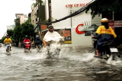 Ảnh minh họa. (Nguồn: TTXVN) 