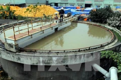 Ảnh chỉ có tính chất minh họa. (Nguồn: TTXVN) 