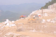 Ảnh minh họa. (Nguồn: Vietnam+) 