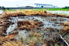 Ảnh chỉ có tính chất minh họa. (Nguồn: TTXVN) 