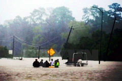 Ảnh minh họa. (Nguồn: AFP/TTXVN)