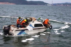 Ảnh chỉ có tính chất minh họa. (Nguồn: TTXVN)