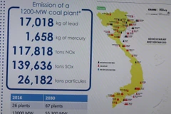 Ảnh minh họa. (Nguồn: Vietnam+) 