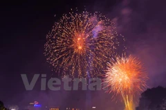 Ảnh minh họa. (Nguồn: Vietnam+)