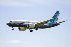 Máy bay Boeing 737 MAX trong chuyến bay thử nghiệm tại thành phố Seattle, bang Washington, Mỹ ngày 29/6/2020. (Nguồn: AFP/TTXVN) 