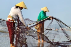 [Photo] Làng chài nhỏ xinh bị 'lãng quên' bên bãi biển Sầm Sơn