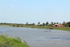 Thiết lập chuỗi giá trị nông nghiệp thích ứng với biến đổi khí hậu là 1 trong 3 lĩnh vực hợp tác. (Ảnh: Trần Thị Thu Hiền/ TTXVN) 