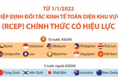 [Infographics] Hiệp định RCEP chính thức có hiệu lực từ 1/1