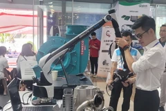 (Ảnh minh họa: Phương Anh/TTXVN)