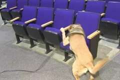 Ảnh minh họa. (Nguồn: NBC News) 