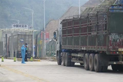 Xe hàng tại cửa khẩu Tân Thanh chuẩn bị xuất hàng sang Trung Quốc. (Ảnh: Quang Duy/TTXVN) 