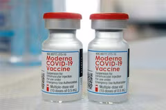 Vaccine ngừa COVID-19 của Moderna. (Ảnh: AFP/TTXVN)