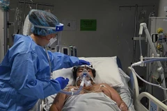 Ảnh minh họa. (Nguồn: theleader.com.au) 