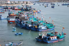 Tàu cá của ngư dân neo đậu tại Đầm Nại (huyện Ninh Hải, Ninh Thuận). (Ảnh: Nguyễn Thành/TTXVN) 