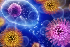 Ảnh minh họa. (Nguồn: medicalnewstoday.com) 