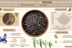Việt Nam tiếp tục là nguồn cung hồ tiêu lớn nhất tại EU