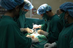 (Ảnh minh họa: Minh Quyết/TTXVN) 