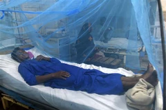Bệnh nhân mắc sốt xuất huyết được điều trị tại một bệnh viện ở Karachi, Pakistan ngày 4/10/2022. (Ảnh: AFP/TTXVN)