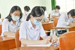 (Ảnh minh họa: Hồng Hiếu/TTXVN) 