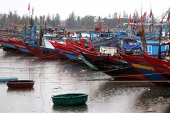 (Ảnh minh họa: Công Tường/TTXVN) 